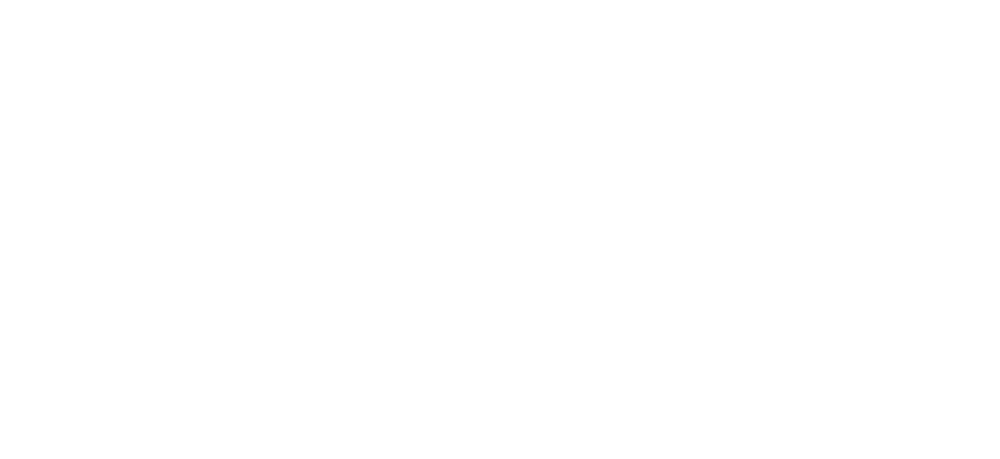 Logo Hotel Newton Ludwigshafen